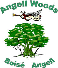 The Association for the Protection of Angell Woods (APAW) is a not-for-profit volunteer organization formed to protect and promote the responsible use of Angell Woods.