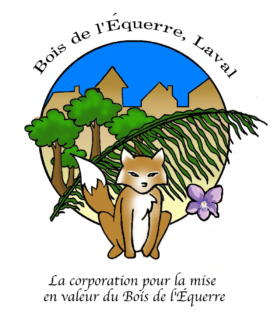 La corporation est un organisme sans but lucratif qui vise à sensibiliser les citoyens de Laval et des environs à l'importance de conserver le bois de l'Équerre.